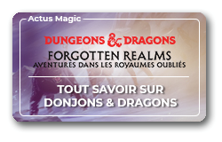 Tout savoir sur Donjons & Dragons