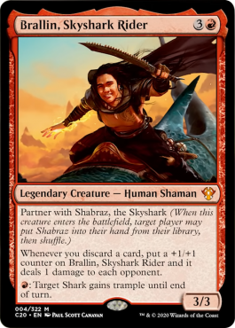 Brallin, the Skyshark Rider