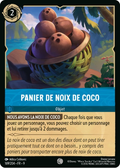 Coconut Basket