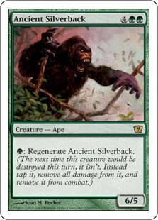 Ancient Silverback