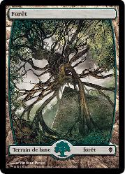 Forest Textless