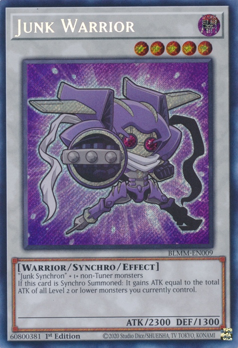 Junk Warrior