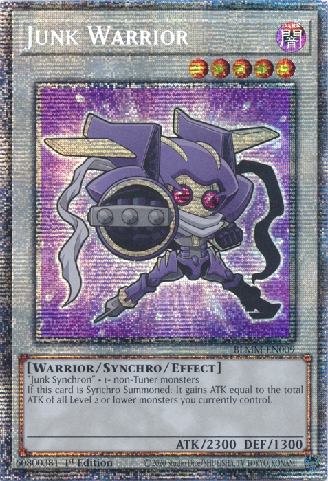 Junk Warrior
