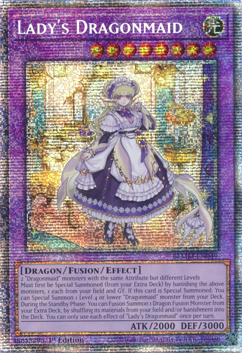 Lady's Dragonmaid