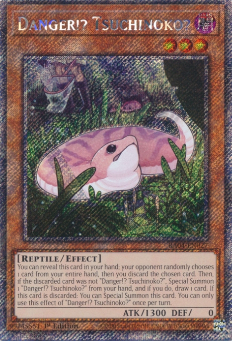 Danger!? Tsuchinoko?