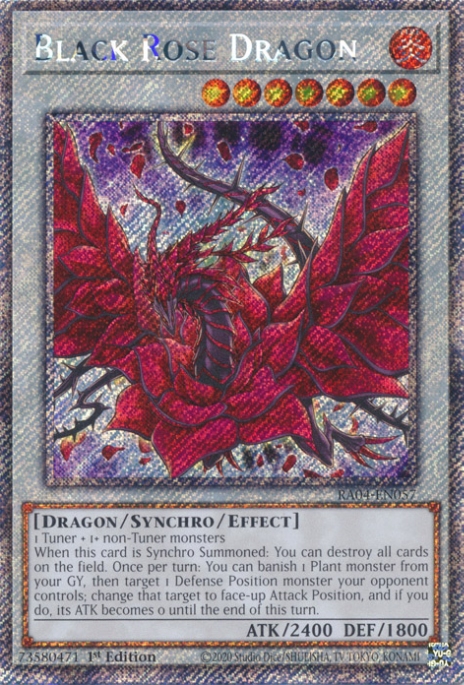 Black Rose Dragon
