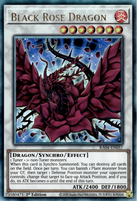 Black Rose Dragon