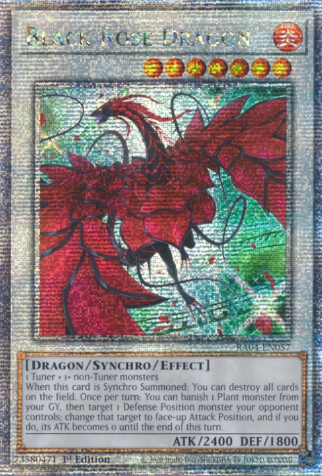 Black Rose Dragon