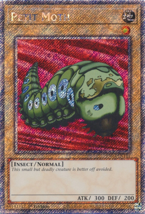 Petit Moth