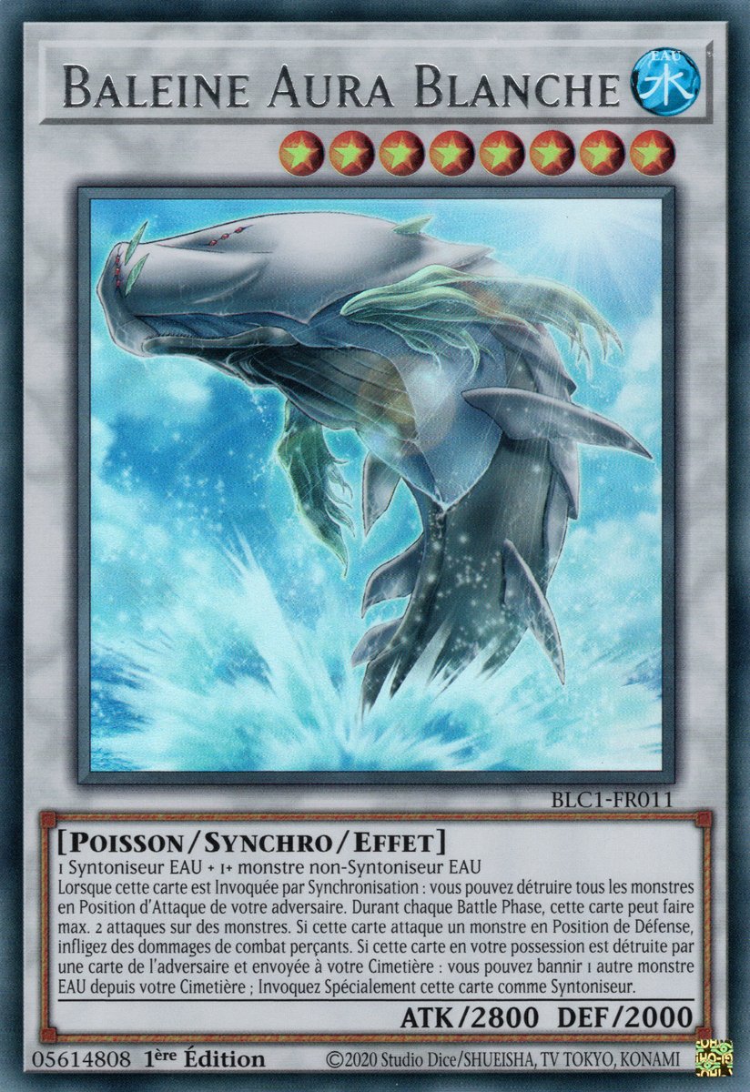 White Aura Whale