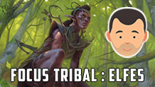 Focus tribal : elfes