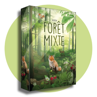 Boîte de jeu Forêt Mixte