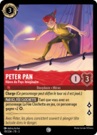 Peter Pan - Never Land Hero