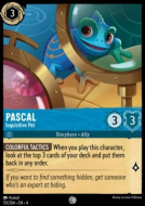Pascal - Inquisitive Pet