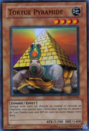 Pyramid Turtle