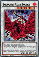 Black Rose Dragon