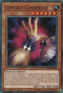 Contact 'C'