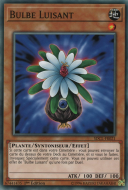 Glow-Up Bulb