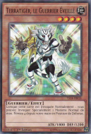 Terratiger, the Empowered Warrior