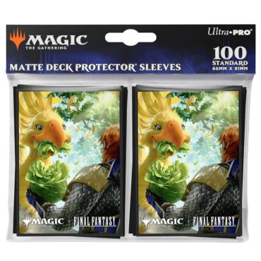 38712_dp_mtg_fin_v8_pkg 