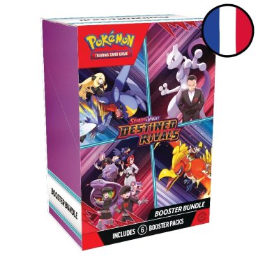bundle ev 10 pokemon fr 