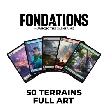 lot 50 terrains full art fondations 