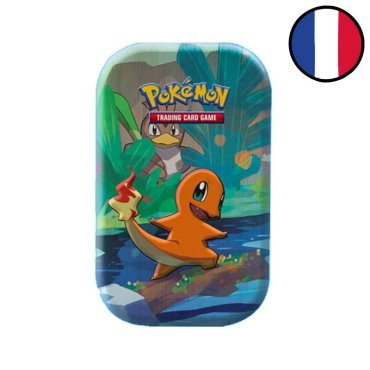 mini tin salameche 