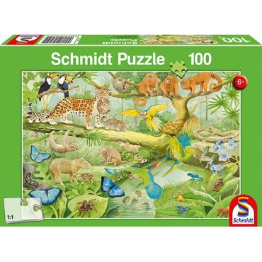 puzzle schmidt 100 foret equatoriale 