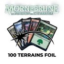 Duskmourn: House of Horror Wholesale Lot of 100 Foil Basic Lands - Magic