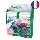Bloomburrow Display of 12 Collector Booster Packs - Magic FR