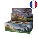 Bloomburrow Display of 36 Play Boosters - Magic FR