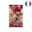Power Absorbed Booster Pack - Dragon Ball FR