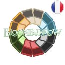 Bloomburrow Full Set Full Set - Magic FR
