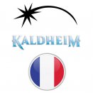 Kaldheim Set of 10 Foil Cards - Magic FR