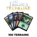 Wilds of Eldraine Wholesale Lot of 100 Basic Lands - Magic