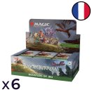 Bloomburrow Set of 6 Displays of 36 Play Boosters - Magic FR