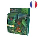 The Lord of the Rings: Tales of Middle-earth Display of 12 Collector Booster Packs - Magic FR