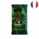 The Lord of the Rings: Tales of Middle-earth Collector Booster Pack - Magic FR