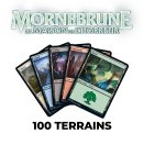 Duskmourn: House of Horror Wholesale Lot of 100 Basic Lands - Magic