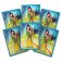 pochettes lorcana mulan 1 