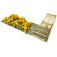 tasso banana jeu playte boite de jeu 