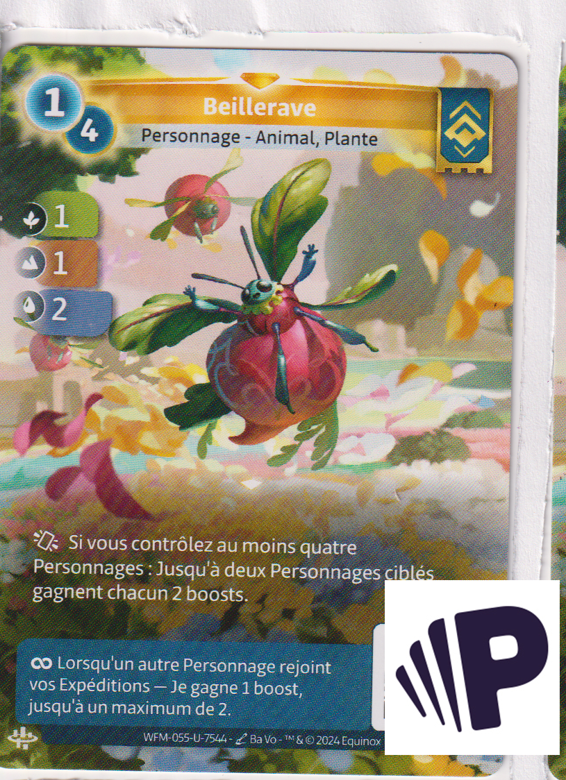 Bumblebeet - F Ordis