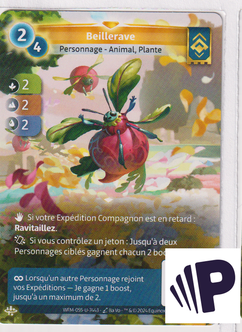 Bumblebeet - F Ordis