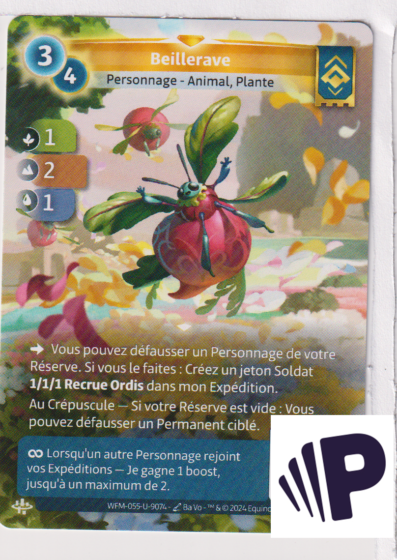 Bumblebeet - F Ordis