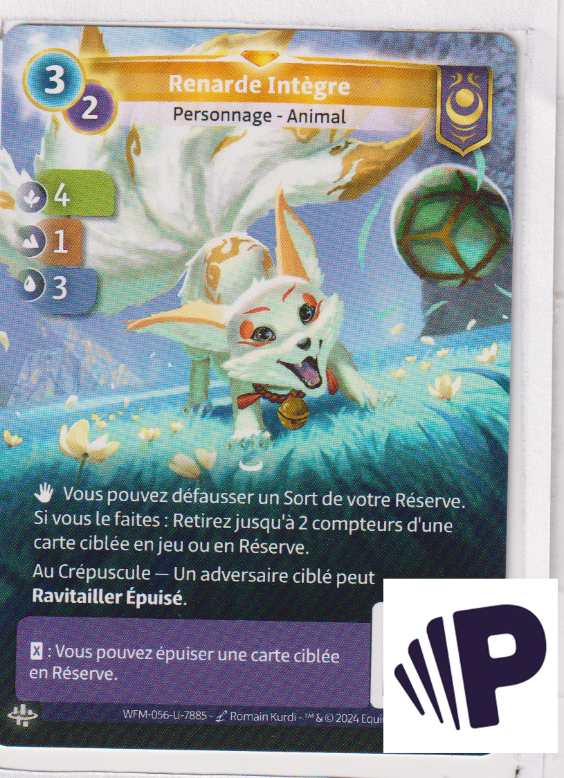 Fair Fox - F Yzmir