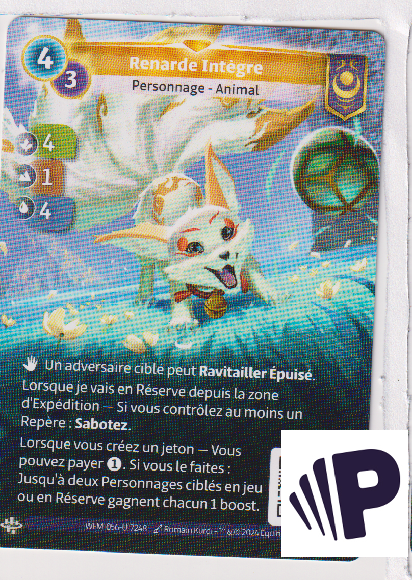 Fair Fox - F Yzmir